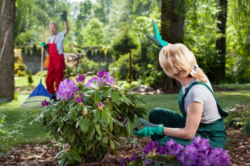 Gardener preparing tools on a lawn