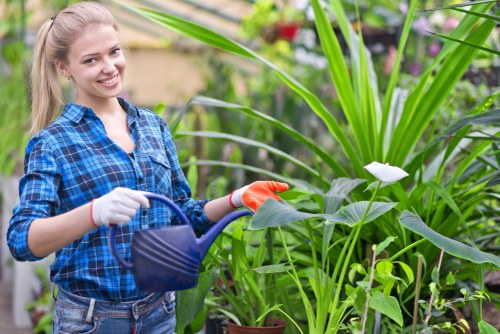 Gardeners Paddington team working in a lush garden