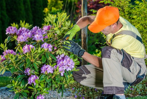 Insurance policy documents and certificates for gardening services