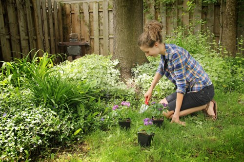 Professional gardeners from Gardeners Paddington tending a flower bed